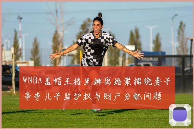 WNBA盖帽王格里娜离婚案揭晓妻子争夺儿子监护权与财产分配问题