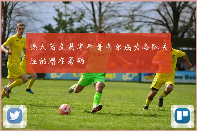 热火若交易字母哥韦尔成为各队关注的潜在筹码